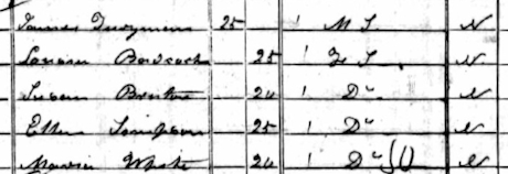 extract of a census