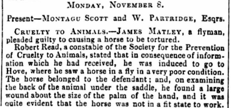 Image of a newspaper cutting